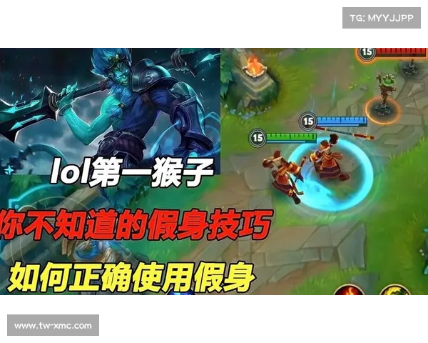提升竞技表现的猴子天赋符文运用技巧与策略解析 提升竞技表现的猴子天赋符文运用技巧与策略解析