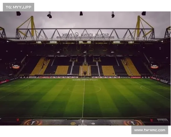 从拜仁体育场命名看现代足球场馆品牌化发展趋势分析 从拜仁体育场命名看现代足球场馆品牌化发展趋势分析