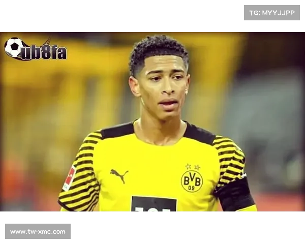 哈弗茨点球无效的五大关键因素分析与背后原因揭秘