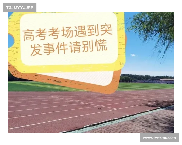 如何从容应对对手挑衅挑战保持冷静和理智的有效策略