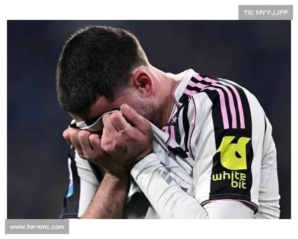 弗拉霍维奇四场进球背后的成功秘诀与关键因素分析