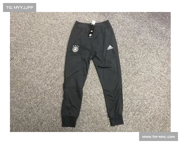 德国足球德甲球队派别与关系的深度分析与文化解读